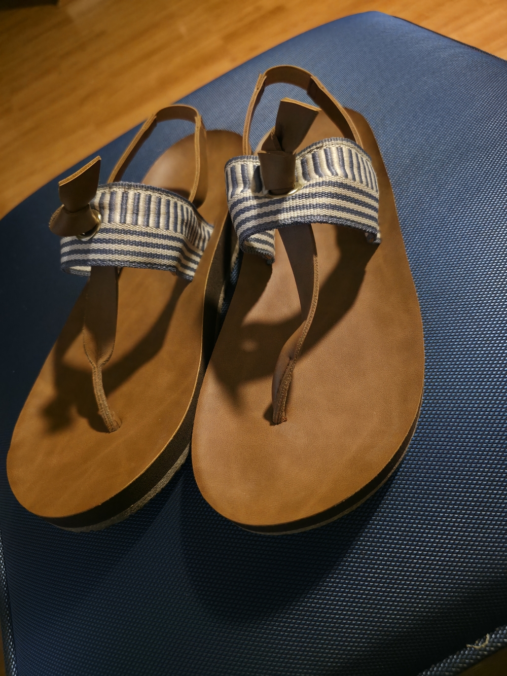 Feelgoodz Zensole Striped Blue and Brown Women's Casual Thong Sandals